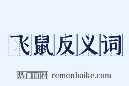 飞鼠反义词是什么意思的图片